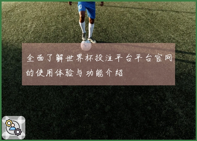 全面了解世界杯投注平台平台官网的使用体验与功能介绍