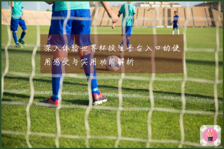 深入体验世界杯投注平台入口的使用感受与实用功能解析