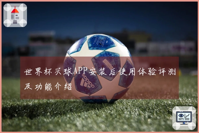 世界杯买球APP安装后使用体验评测及功能介绍