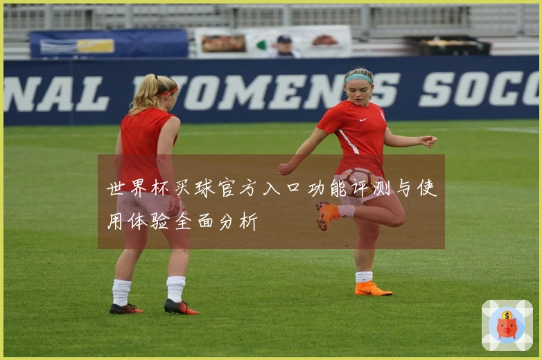 世界杯买球官方入口功能评测与使用体验全面分析