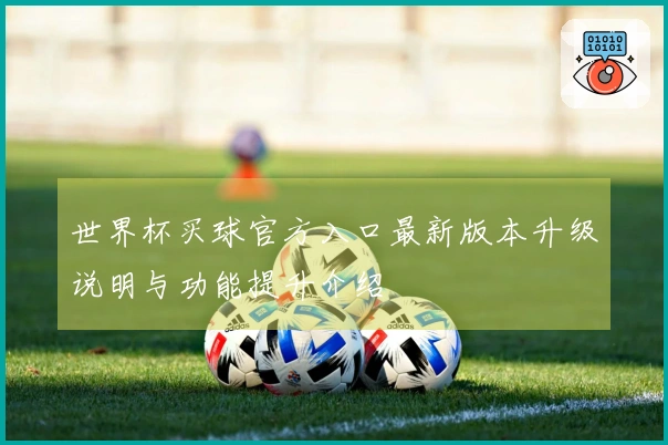 世界杯买球官方入口最新版本升级说明与功能提升介绍