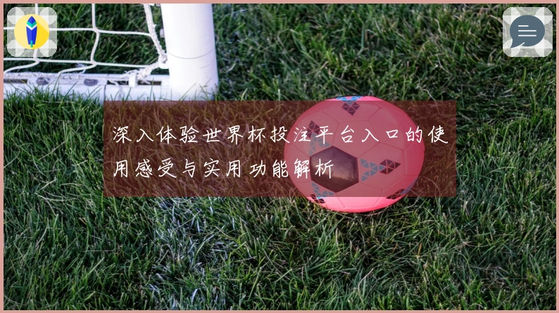 深入体验世界杯投注平台入口的使用感受与实用功能解析