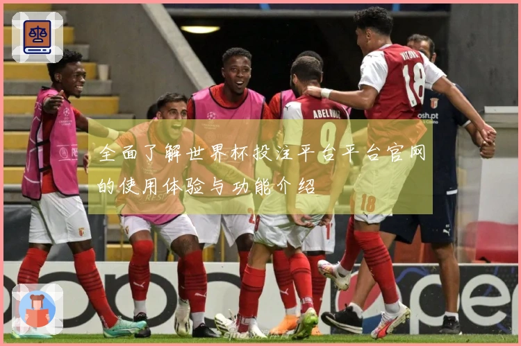 全面了解世界杯投注平台平台官网的使用体验与功能介绍