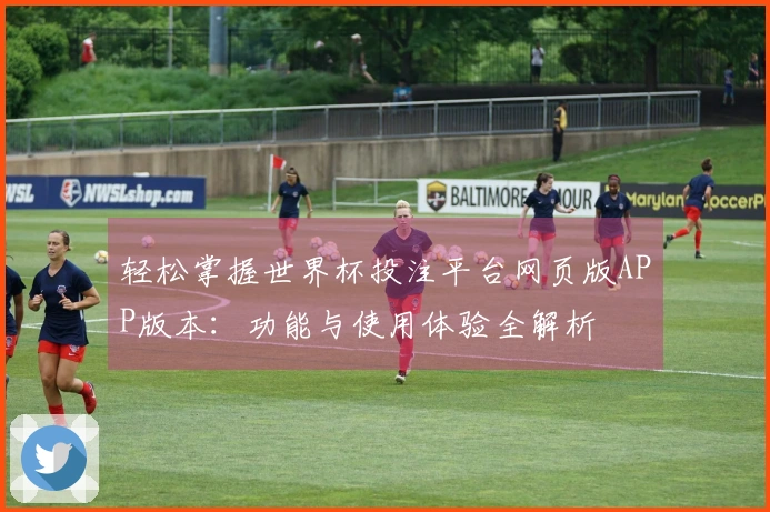 轻松掌握世界杯投注平台网页版APP版本:功能与使用体验全解析